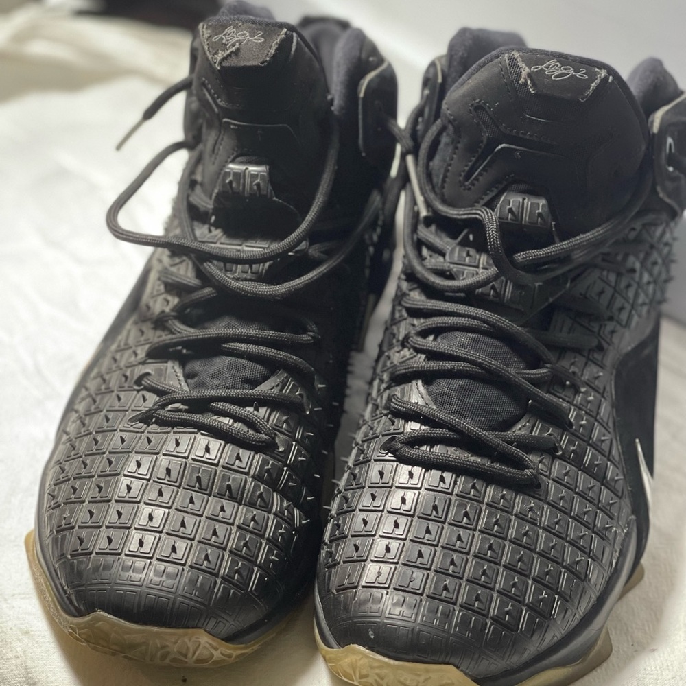Lebron Shoes